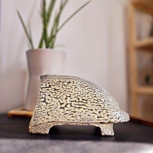 Könnte beinhalten: Ein weißer Keramik-Pflanztopf mit einem strukturierten, organischen Design. Der Topf ist halbrund geformt und hat drei kleine Füße.