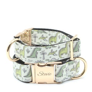 Dinosaur dog collar, green and white, martingale with buckle, personalized engraved dog collar, dog puppy gift, heavy duty, cute fun collar.