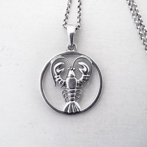 Cancer Necklace, Zodiac Necklace, Horoscope Necklace, Zodiac Jewelry, Cancer Medallion Necklace, Silver Necklace, Sterling Silver .925