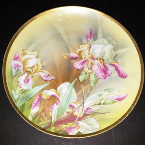 Antique Kristef Porcelain Pink Purple Iris Porcelain Decorative Collectors Plate