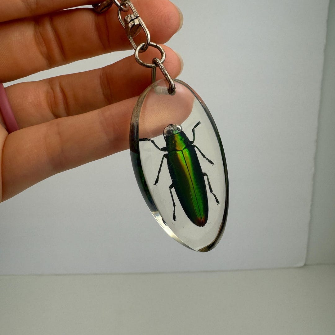 Vtg 90s Clear Acrylic Resin Japanese Jewel Beetle Keychain Iridescent ...