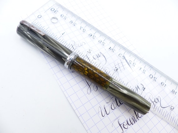 waterman inkview インクビュー　逆レバー　整備済　万年筆 waterman inkview インクビュー 逆レバー 整備済 万年筆