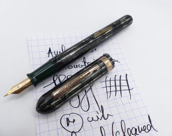 Gray Ambassador Fountain Pen restored