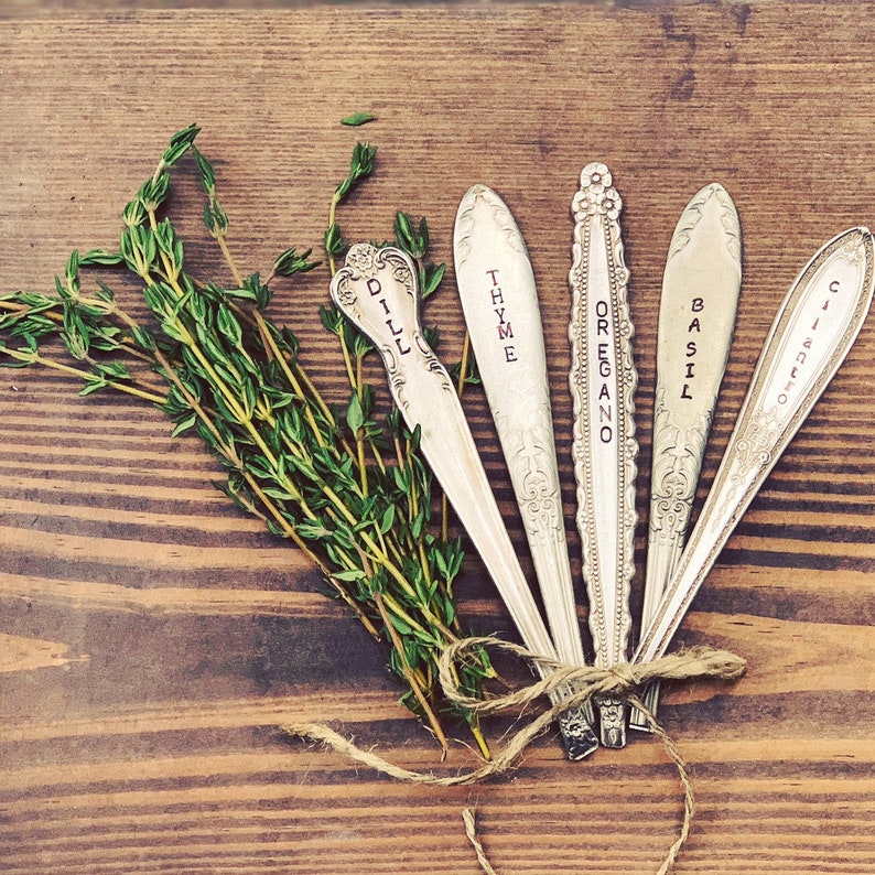 May include: Five silver spoons tied together with twine, each spoon has a different herb name engraved on it: Dill, Thyme, Oregano, Basil, and Cilantro.