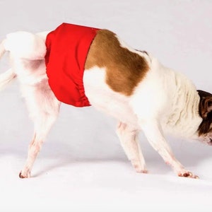 Dog pee pants sales