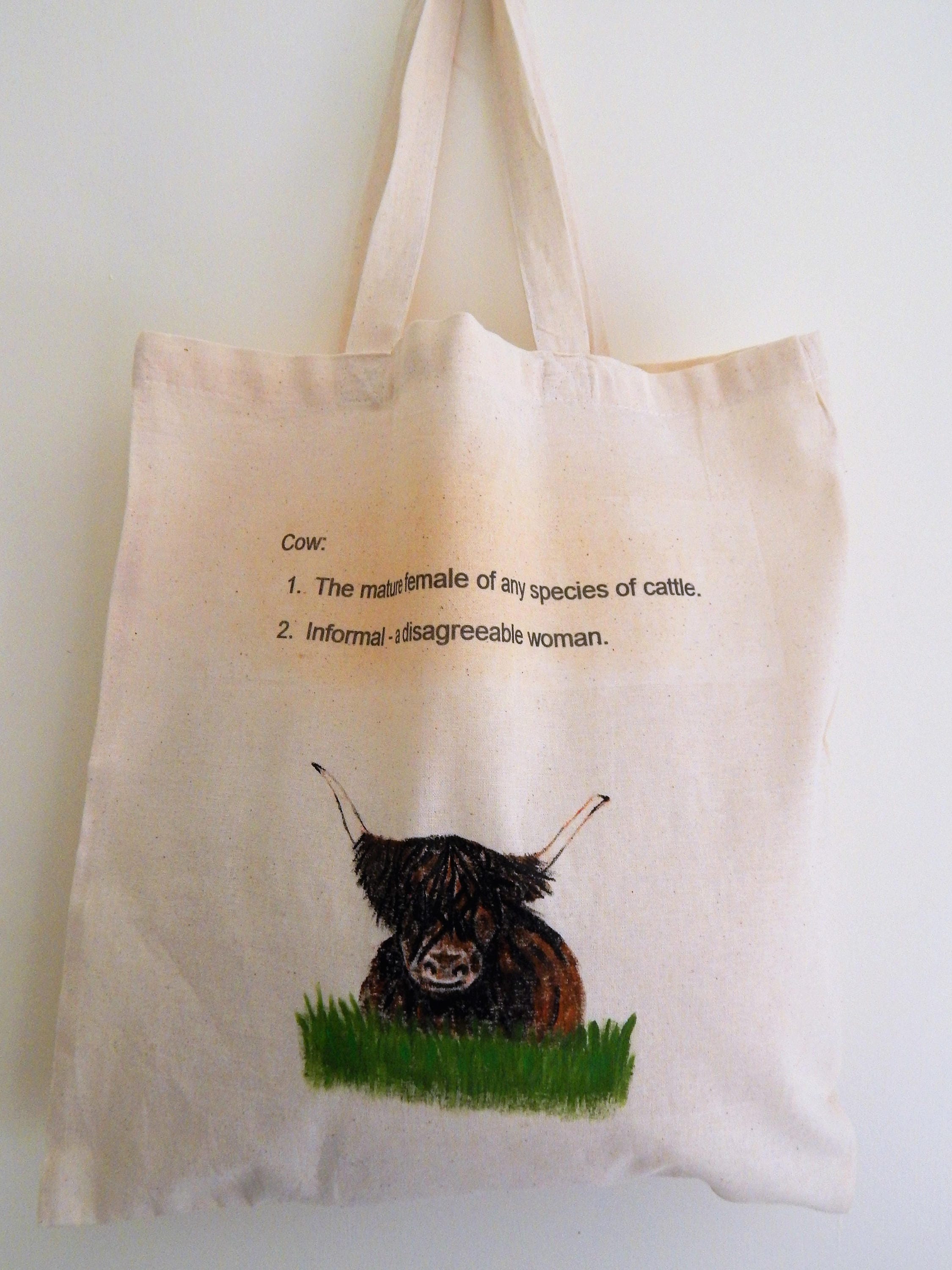 fuzzy cow bag