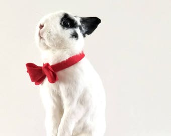 Felt bow tie for rabbits / rabbit accessories / rabbit bows / rabbit bow ties / bow ties for rabbits / bunny bow ties / rabbit costumes