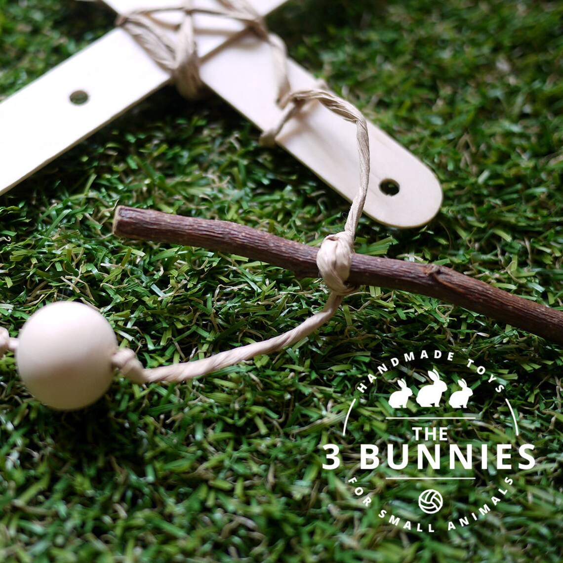 Star Popsicle Throw Toss and Chew Toys for Rabbits Etsy Singapore