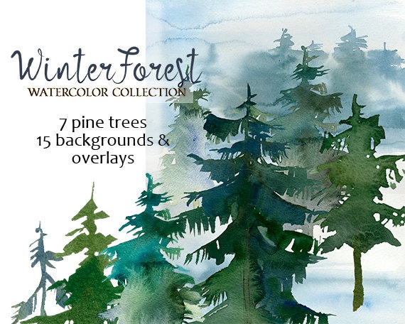 Pine Trees Watercolor Clipart Fir Trees Png Christmas Winter Etsy