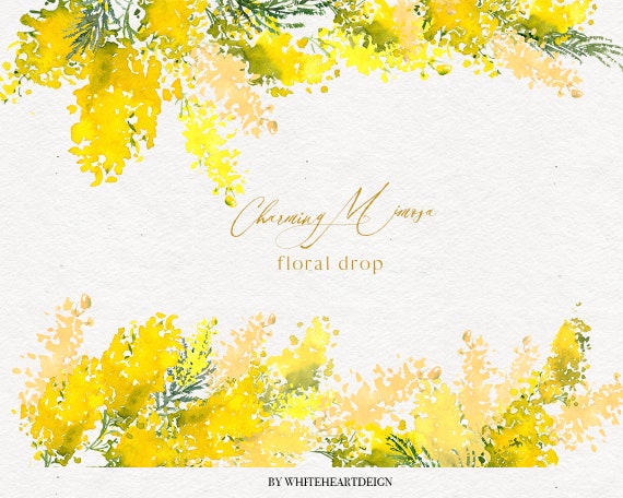 Charming Mimosa Yellow Watercolor Flowers Floral Clipart | Etsy