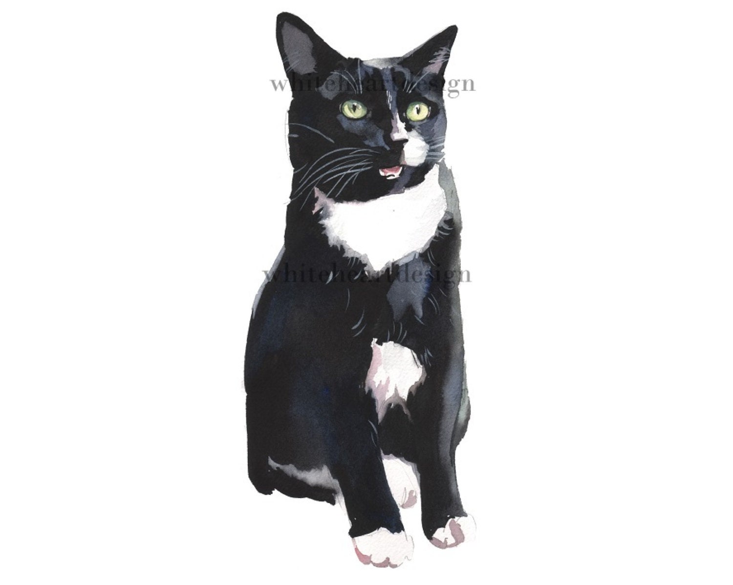 Black and White Tuxedo Cat Clipart Hand Painted Watercolor Etsy