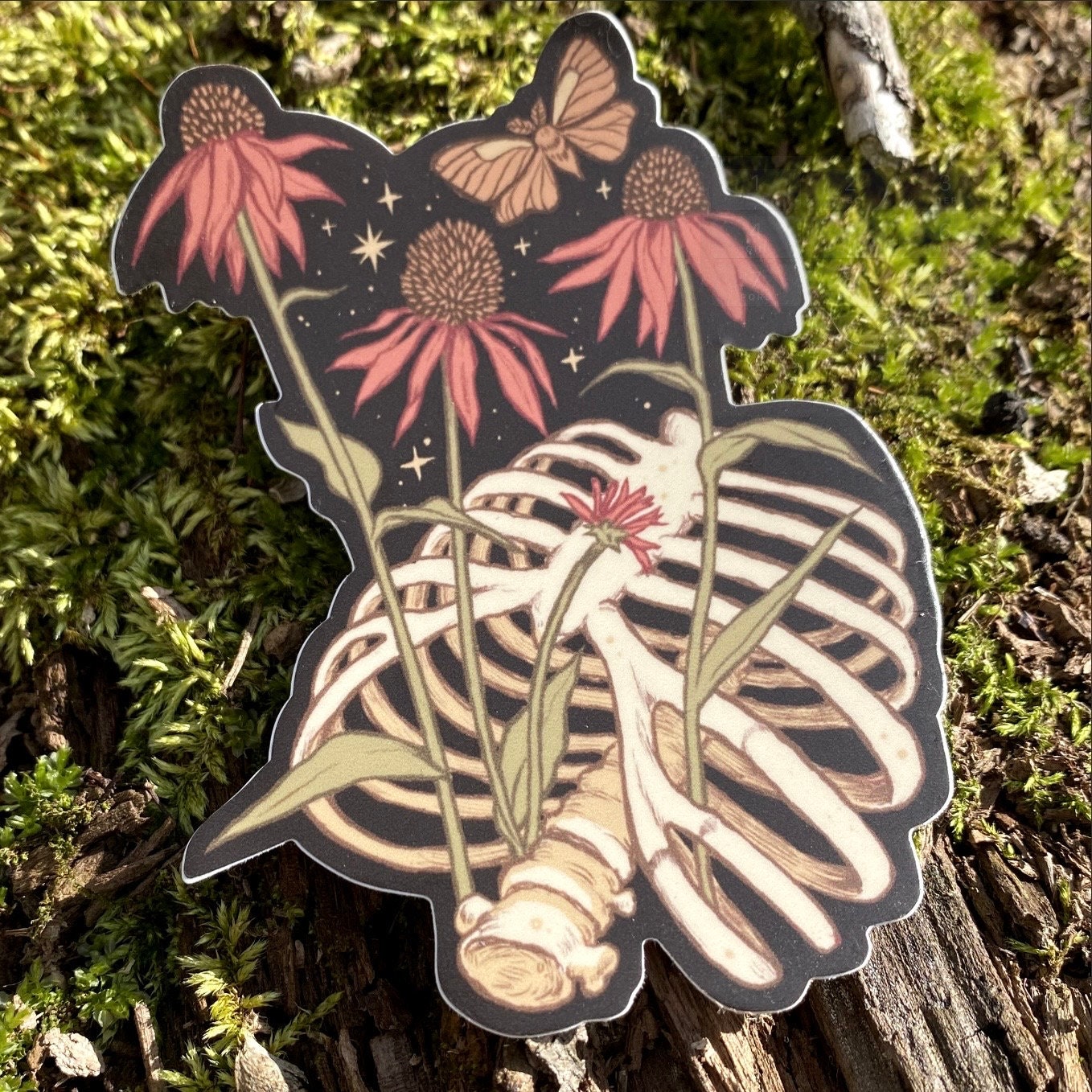 Forest Funeral Sticker Set Skull Mushrooms Whimsigoth Moths Rib Cage ...