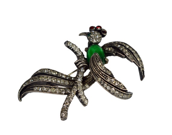 Antique French Bird Of Paradise Pin Brooch Rhines