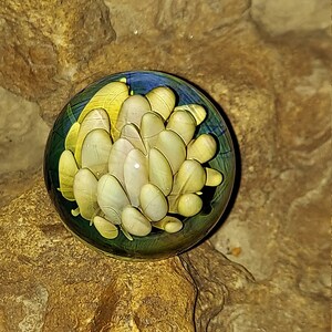 May include: A clear glass marble with a design of white and yellow petal-like shapes, set against a dark green and blue background. The marble is resting on a rough, textured, brown rock surface.
