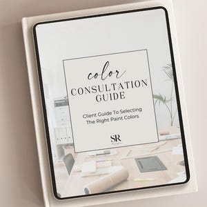 PLR Client Paint Color Consultation Template | for Interior Designers, Virtual E-Design, Home Stagers, Realtors | Lead Magnet | Color Guide