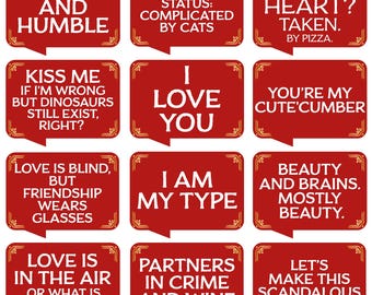 Valentine's / Galentine's / Anti Valentine day photo booth prop signs / Funny and general prop signs, printable PDF, print the ones you like