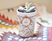 Recycled JUNGLE pot - flower - garden Majorelle inspiration - jar Terrarium planter