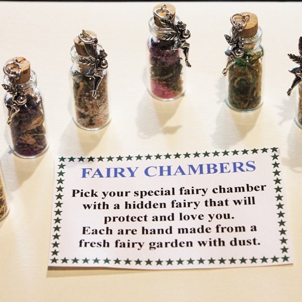 Fairy Chambers, Fairies, Fairy Charm, Fairy Dust, Special Fairy, Fairy Necklace, Fairy Bottle Necklace.