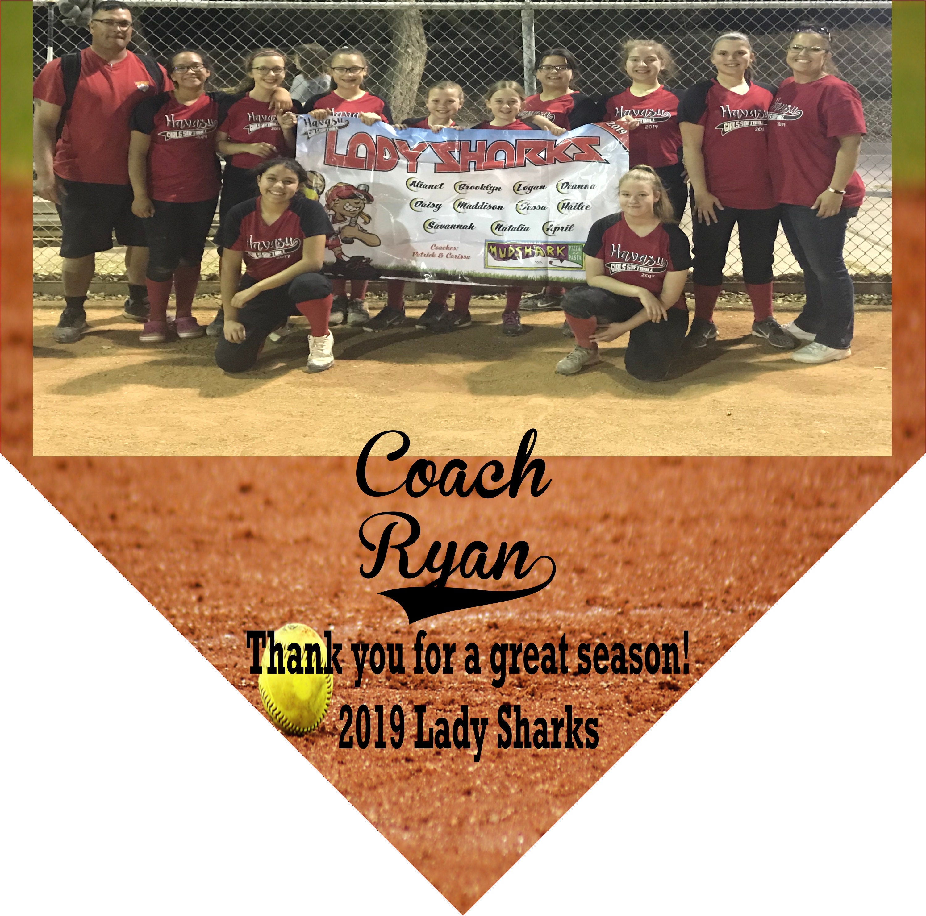 Softball Home Plate Plaque Softball Award Team Gift Etsy