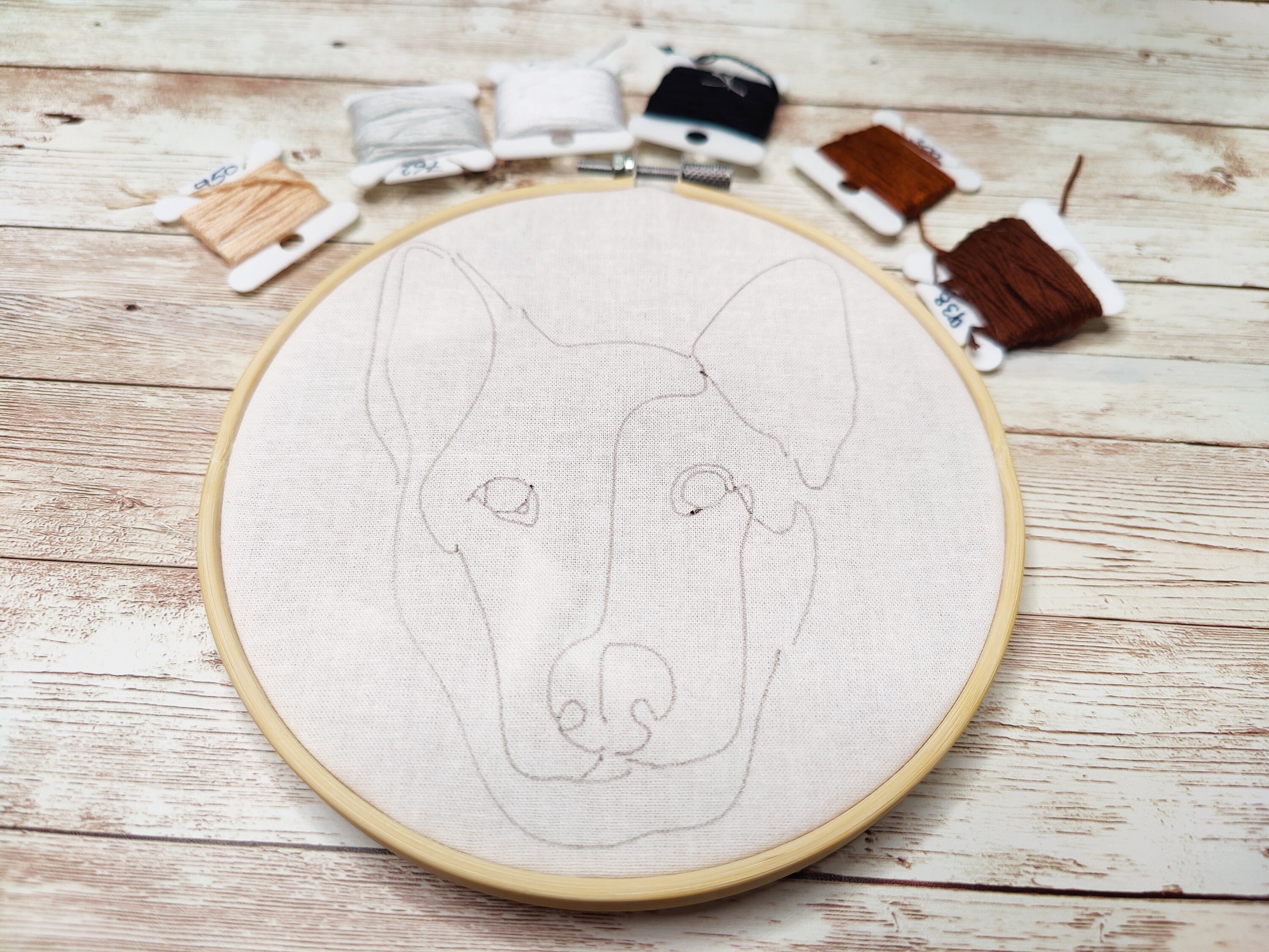 Embroidery Kit for Beginners, Pre Printed Embroidery Kit for