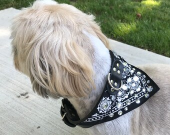 Black Bling Bandana Collar - Bark Avenue Bling