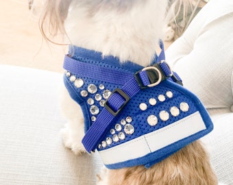 Royal Blue Reflective Dog Harness