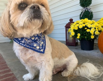 Blue Bling Bandana Collar - Bark Avenue Bling