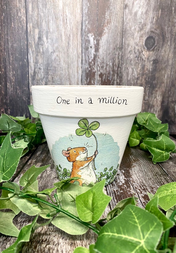 One In A Million Terracotta Plant Pot