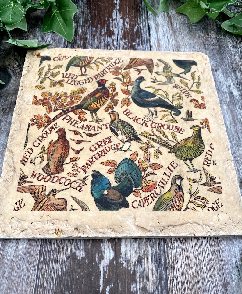 Emma Bridgewater Game Bird Stone Worktop Saver Etsy UK