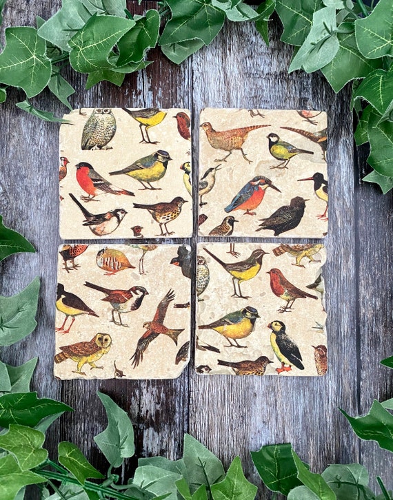 British Birds Set Of 4 Coasters