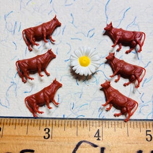 May include: Six small, reddish-brown plastic cow figurines arranged in a circle around a single white daisy with a yellow center. A wooden ruler is visible at the bottom, showing measurements in inches, with the number 3, 4, and 5 clearly marked.