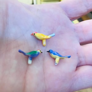 Teeny Tiny Birds, Set of Five, Miniature Song Birds, Hand Painted, Fairy Garden, Dollhouse, Diorama, Custom Colors, by VintageStudioSupply image 3