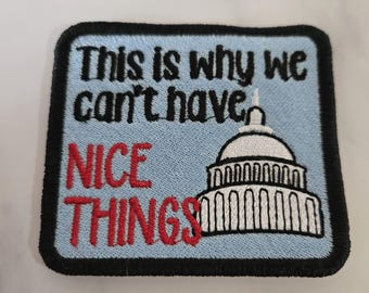 Snarky Political Embroidered Patch: "This is why we can't have nice things"