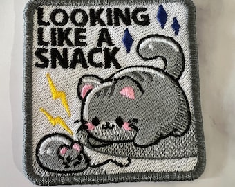 Looking Like A Snack Embroidered Iron On Patch - Funny Cat Patch