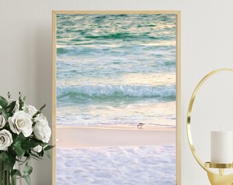 Fotografía de aves de playa de Florida, arte mural costero (descarga digital)