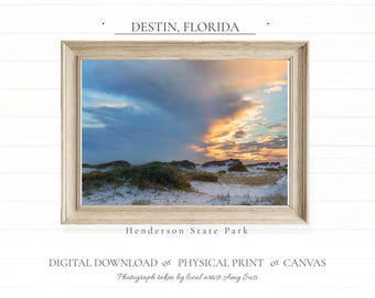 Destin Henderson State Park - Coastal Dunes Digital Fine Art and Prints