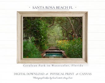 Watercolor Cerulean Park Photograph for Prints and Digital Printable Art