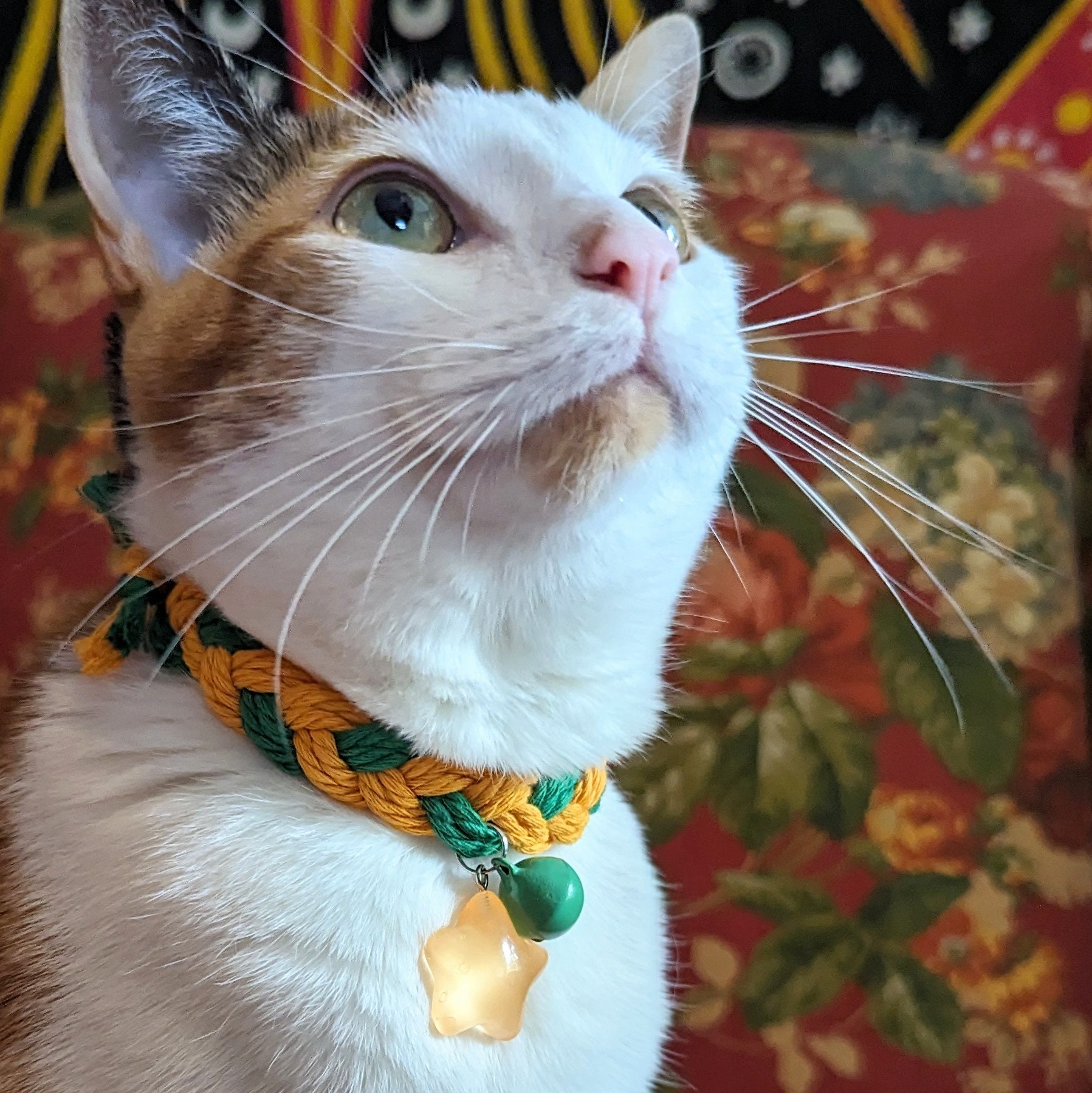 Handmade Kitten Collar Etsy