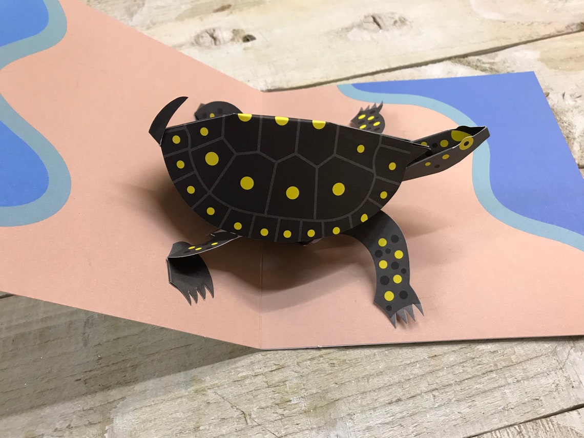 Pop up card Turtle by 2ToTango Etsy