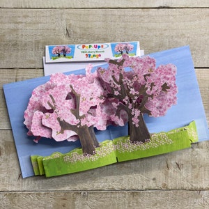 Blossom, Garden, Flowers, Beehive, Cactus, Magnolia, Pots, Window Box, Herbs, Pretty Flowers Pop up card - by 2ToTango - flowers