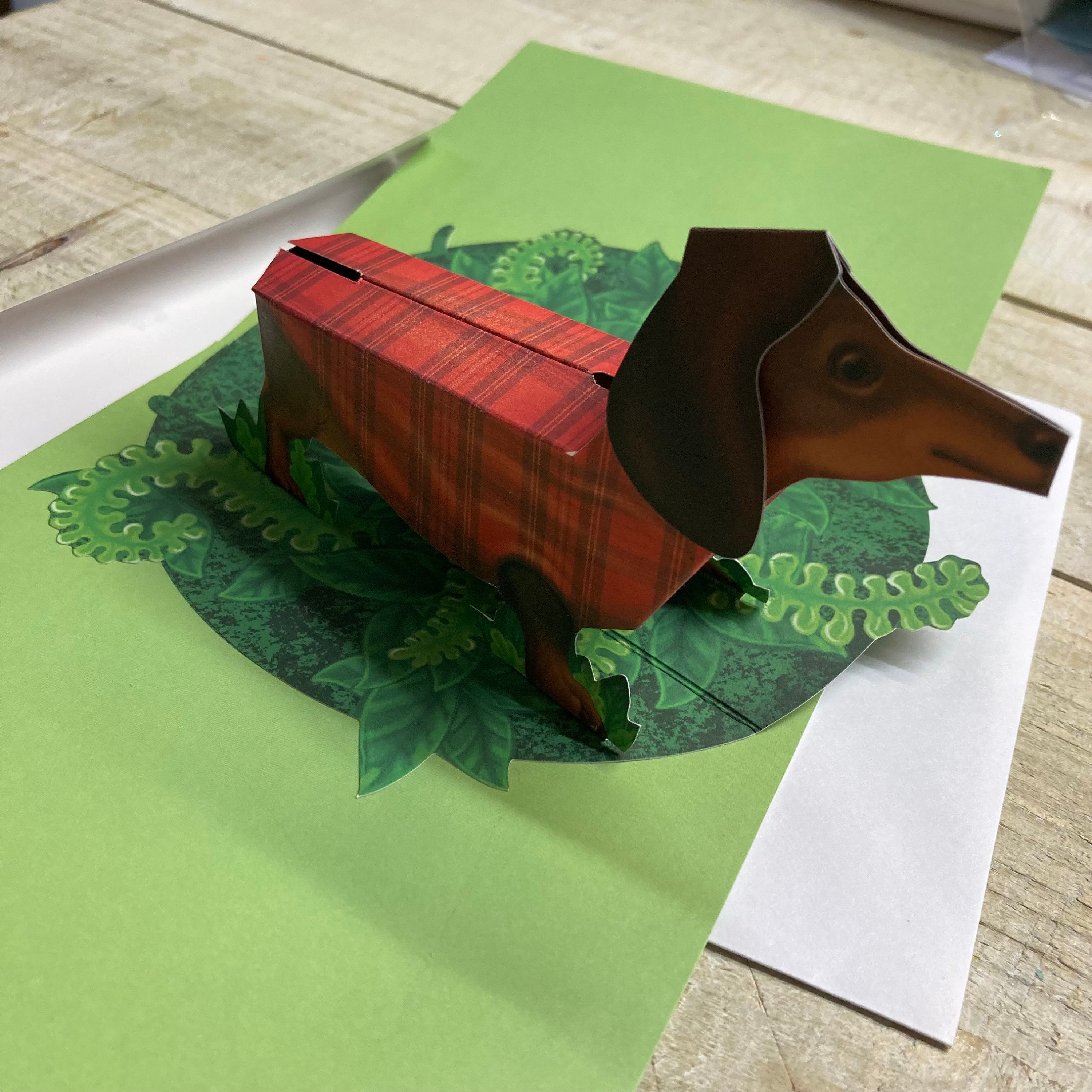 Pop up Card - Dachshund - Sausage Dog Design by 2totango - Etsy