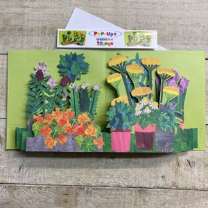 Herbs & flowers, Cactus, Garden, Flowers, Bee hive, Magnolia, Blossom, Pots, Window Box, Pretty Flowers Pop up card - by 2ToTango - flowers