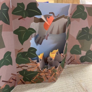 Pop up card - Robin Red Breast design by 2ToTango- Friends of the Forrest