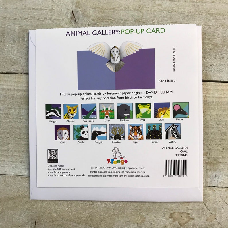 Barn Owl - Sticker – Amy Rose Moore - View #12