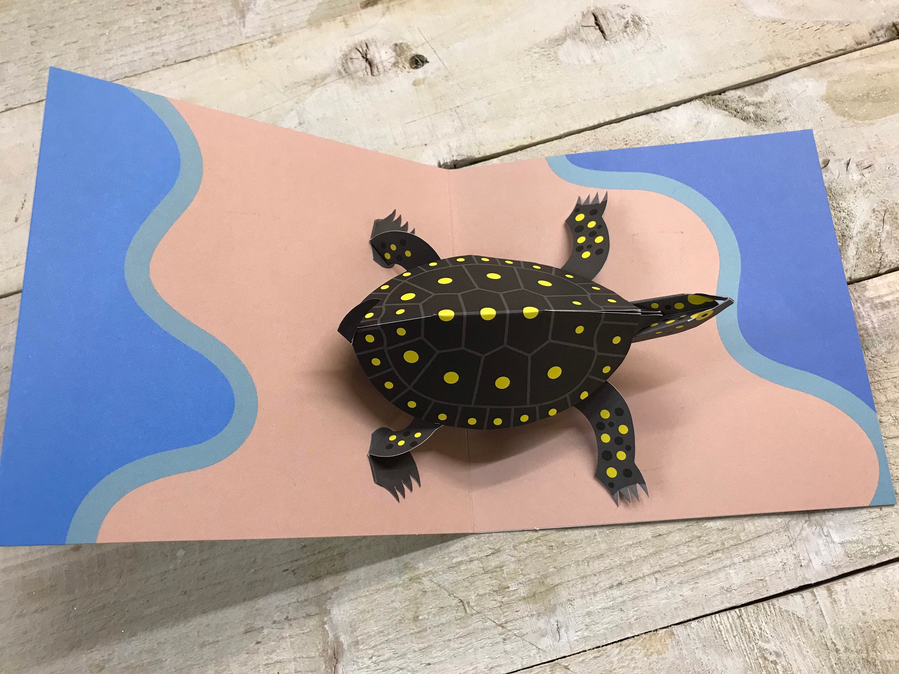 Pop up card Turtle by 2ToTango Etsy