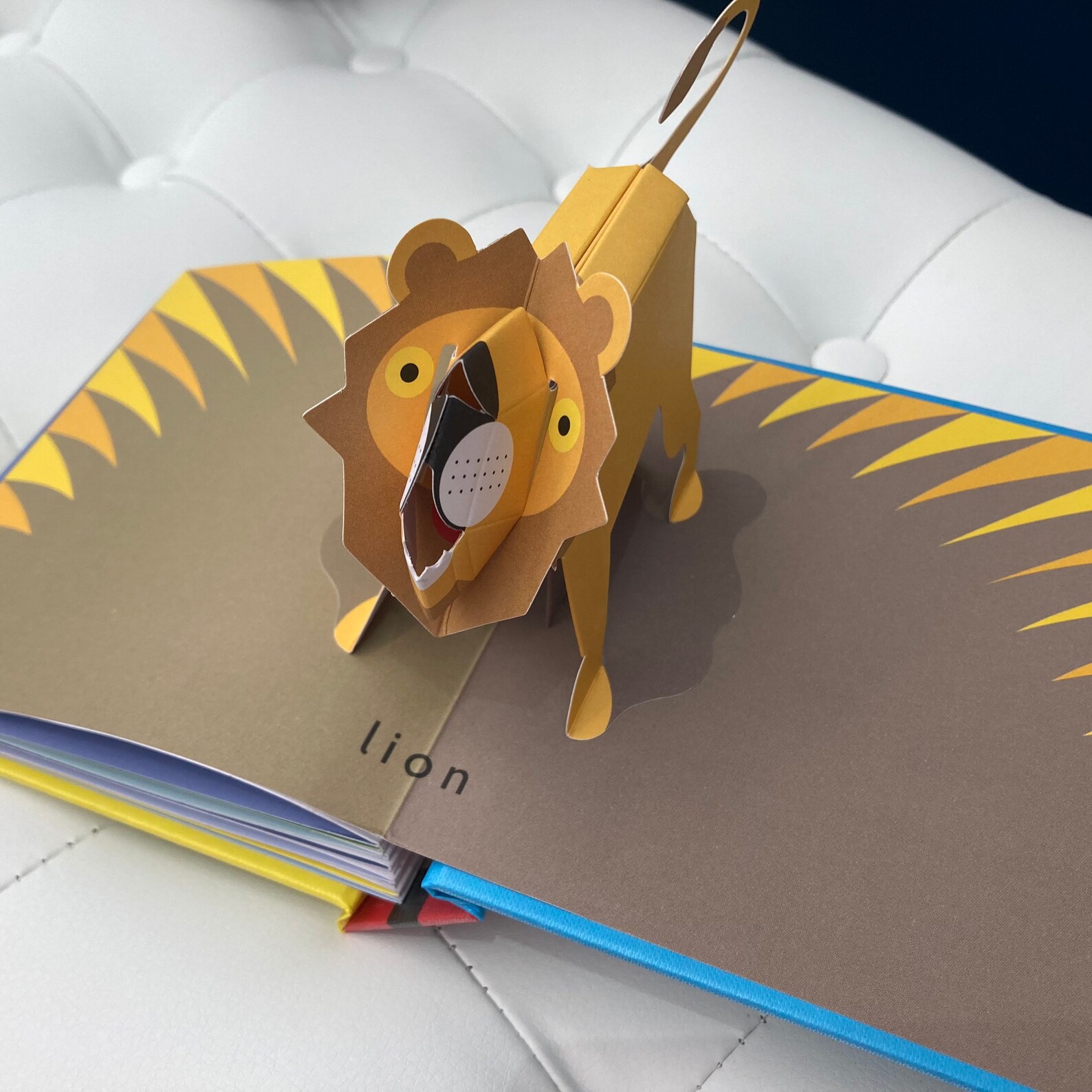 Animal Gallery Amazing Pop up Childrens Book by David Etsy