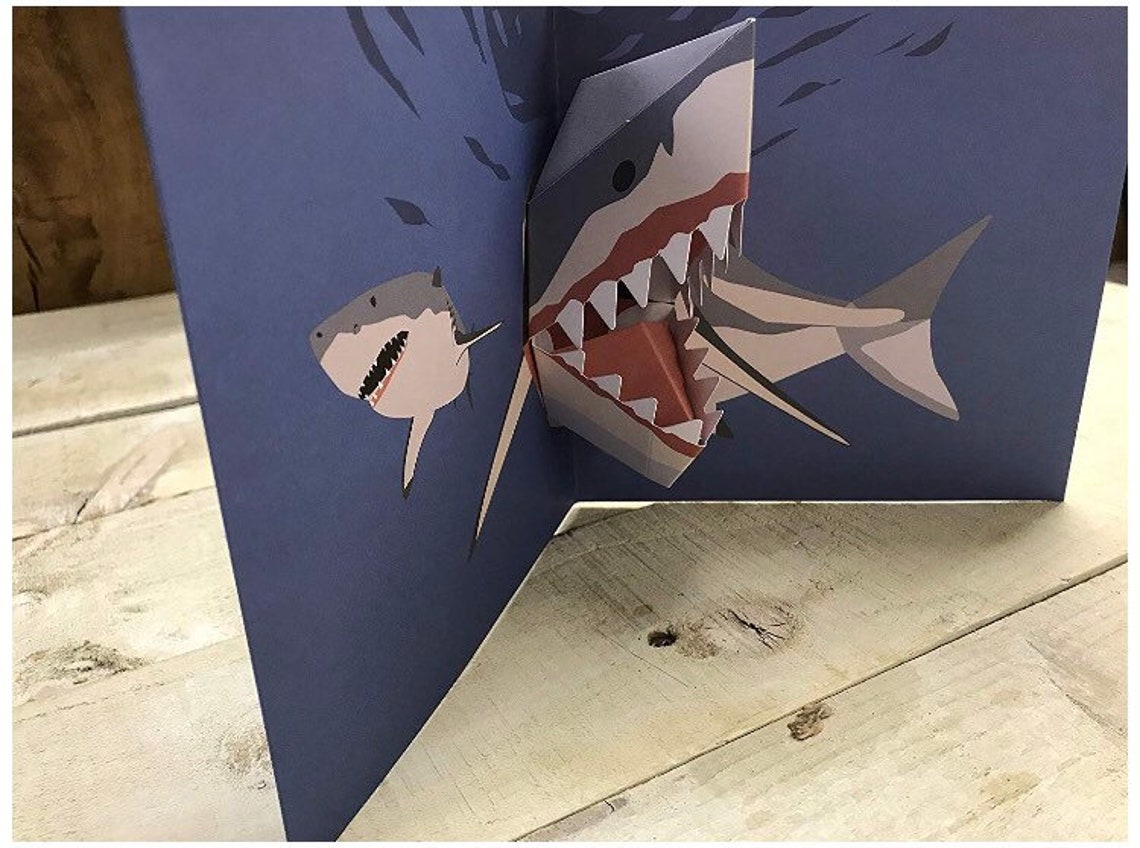 card shark card shark