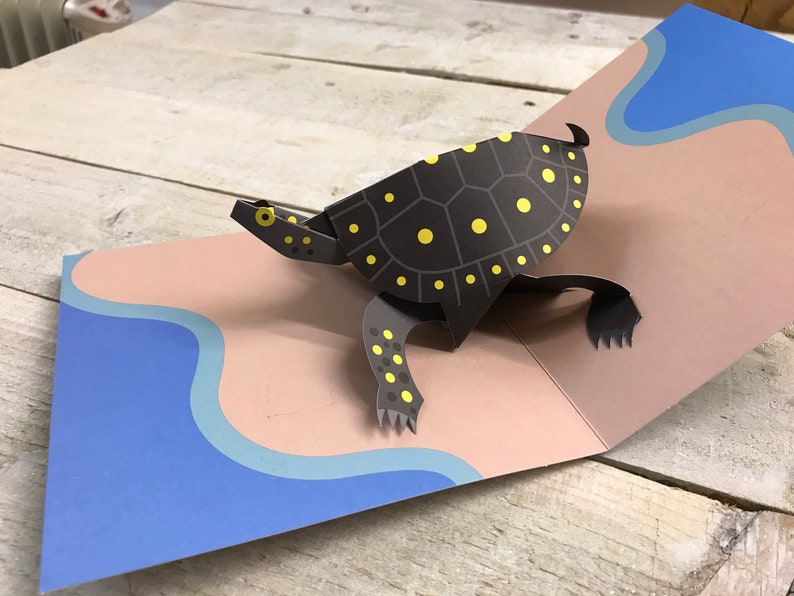 Pop up Card Turtle by 2totango | Etsy