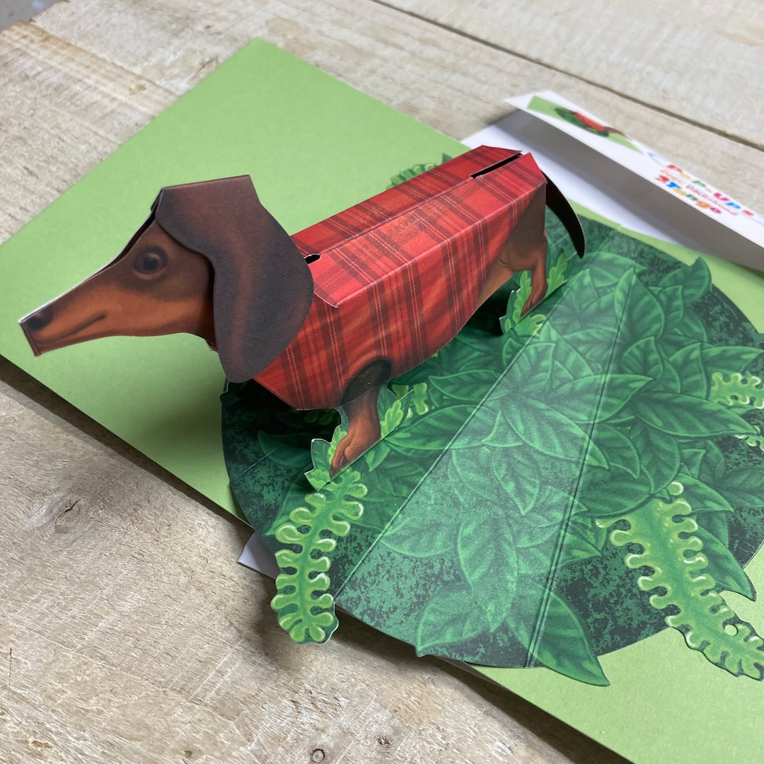 Pop up Card - Dachshund - Sausage Dog Design by 2totango - Etsy