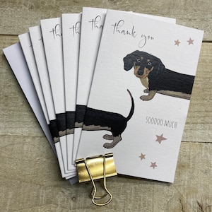 Notas de perro y gato, flores, estrellas, plumas PACK DE 6 - Tarjetas de notas para amigos - tarjetas pequeñas - paquete de tarjetas, tarjetas de agradecimiento, solo para decir